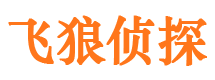 乾安市侦探调查公司